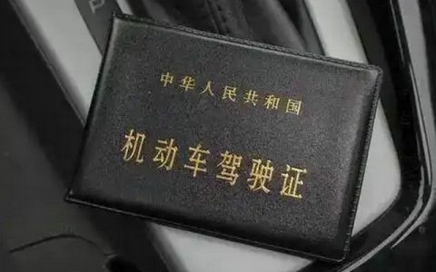 驾驶证丢失了去哪里补办