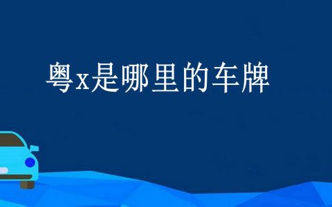 粤x是哪里的车牌