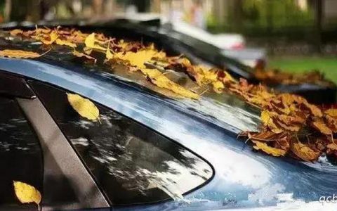 树油滴在车上对车漆有什么影响