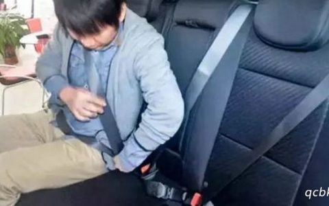 出租车后座不系安全带罚款吗