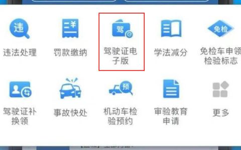如何申领电子版驾驶证