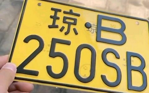 新车上牌照要多久才能拿到