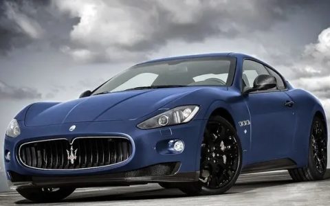 鱼叉车标是什么车