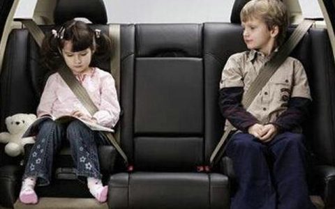 开车后排不系安全带怎么处罚