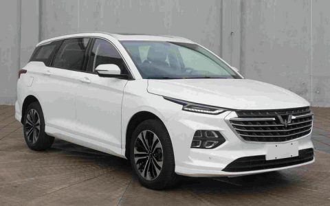 五菱银标什么意思