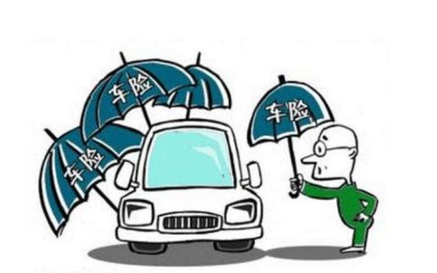 不买车损险有什么后果