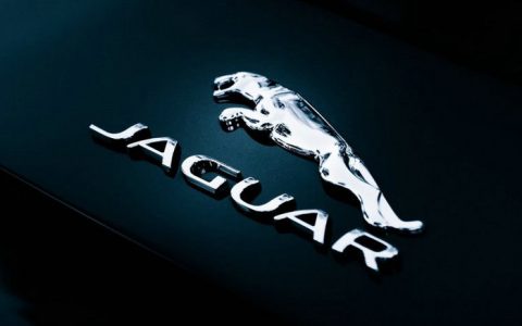 捷豹标志是什么动物