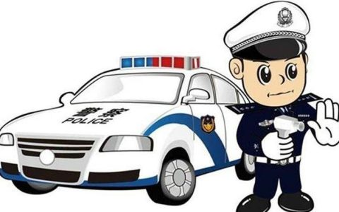 违章拍照拍什么内容