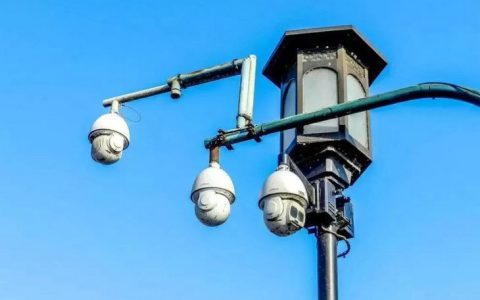 电子眼违章多久能查到