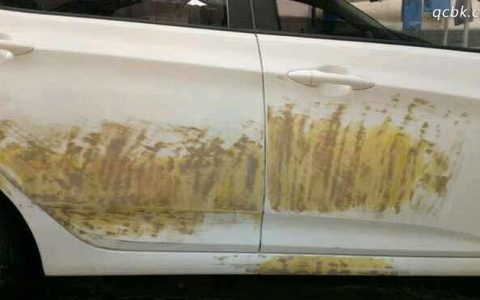 白色车漆发黄最有效处理方法