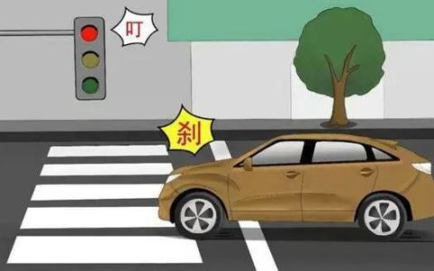 一般闯红灯多久能查到违章