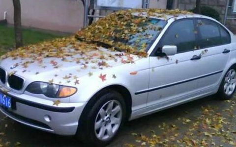 汽车放久了不开会怎样