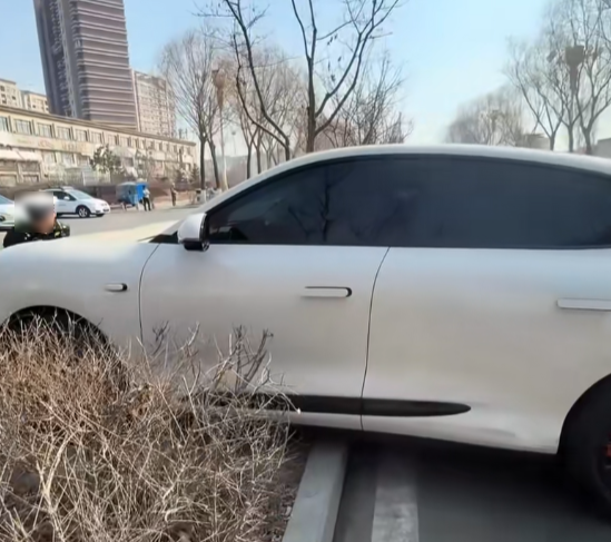 车主下车后车辆自行溜走 狂拉隐藏式把手打不开最终撞车