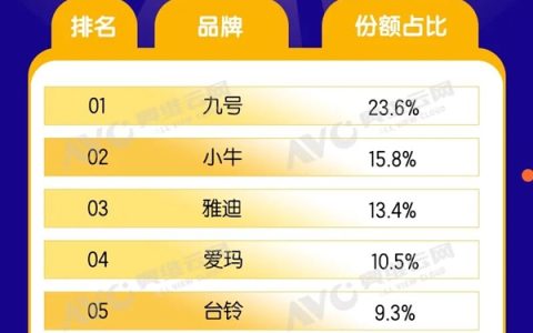 2025线上电动车排名出炉：九号第一、小牛第二