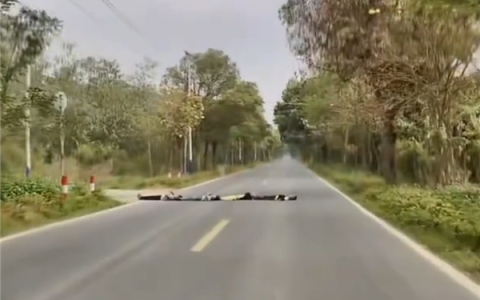 小鹏辅助驾驶突然触发减速绕行 车主接管靠近一看冷汗直流