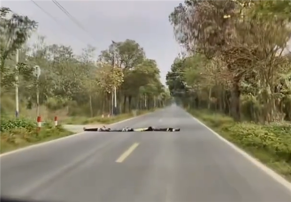 小鹏辅助驾驶突然触发减速绕行 车主接管靠近一看冷汗直流