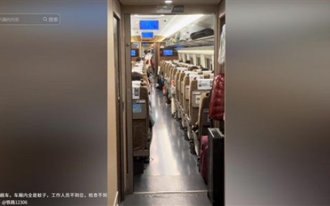 网友称高铁上蚊虫泛滥坐立难安：乘客纷纷用手驱赶