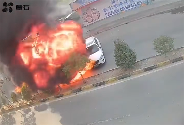 男子大火中淡定掉头致车辆被烧 网友急疯