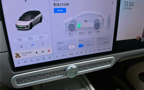 全网首台理想汽车实测比亚迪兆瓦闪充桩：73度电 31分钟充满