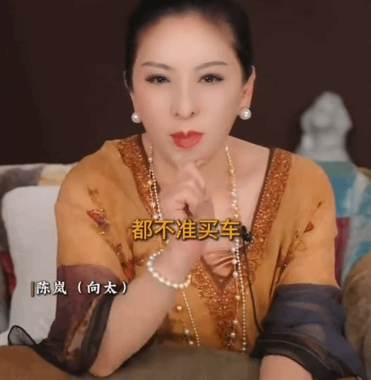 向太说存款没有200万别买车！车只是代步工具