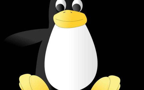 赶紧收藏! 全网最全 Linux 命令总结
