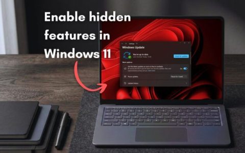 用户可手动开关系统新功能! Windows11将推功能标志页面
