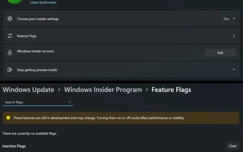 可原生解锁系统隐藏功能! Win11预览版功能标记曝光