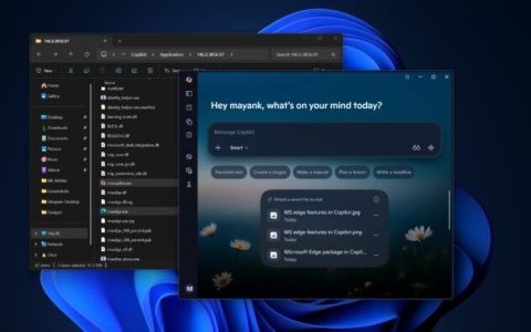 内存占用飙升! Win11新版Copilot改用内置Edge浏览器
