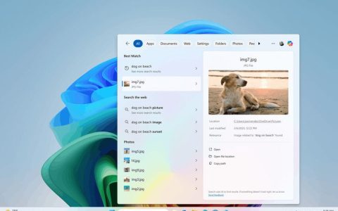 Win11 23H2修复开始菜单搜索失效显示空白结果问题