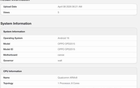 高通第五代骁龙8芯片+12GB内存! OPPO Pad Mini 平板跑分曝光