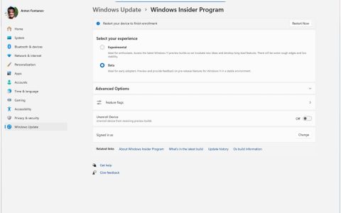 简化频道+全量推送+切换更顺! 微软提升Win11预览版体验