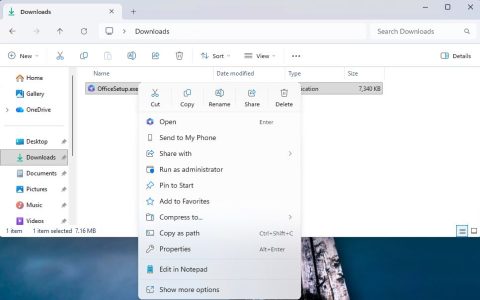 Win11 Canary预览版28020.1863/29570.1000发布:优化文件管理器右键菜单