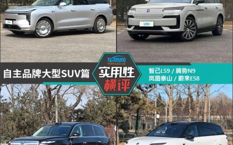 日常实用性测试横评：自主品牌大型SUV篇