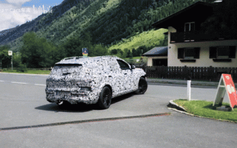 奥迪大V8 环保去他M