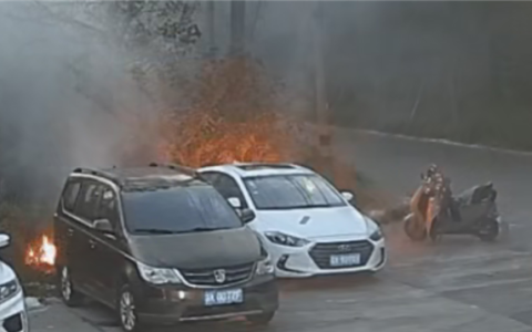 一男子手欠点燃柳絮：火势迅间失控引燃路边轿车 已被依法处理