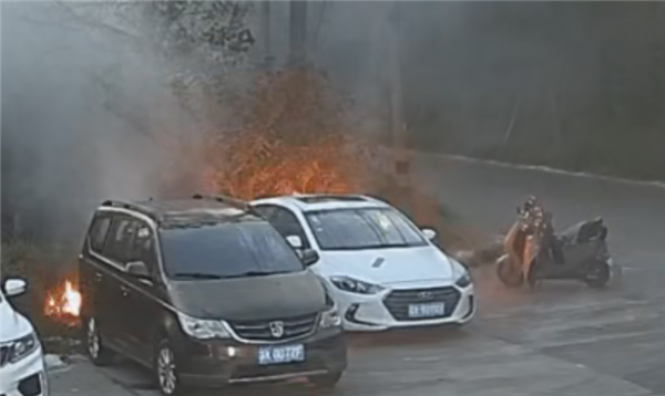 一男子手欠点燃柳絮：火势迅间失控引燃路边轿车 已被依法处理