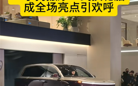 理想把底盘玩出花了！L9小狗撒尿式换胎名场面出圈