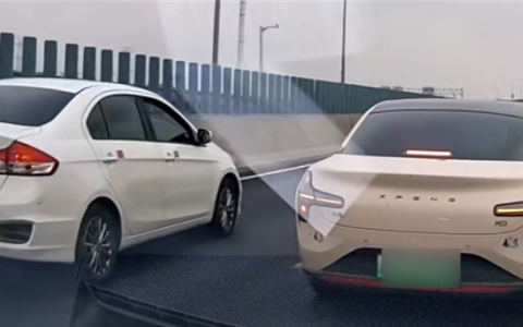 上海高架惊现路怒狂徒！司机因一句吐槽暴怒踹车：被依法行拘