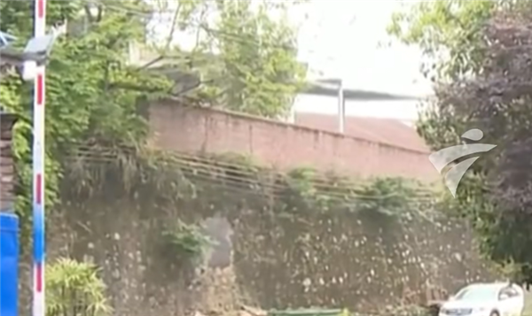 进来就得交钱！女子误入私人停车场掉头被收费 民警到场才脱身