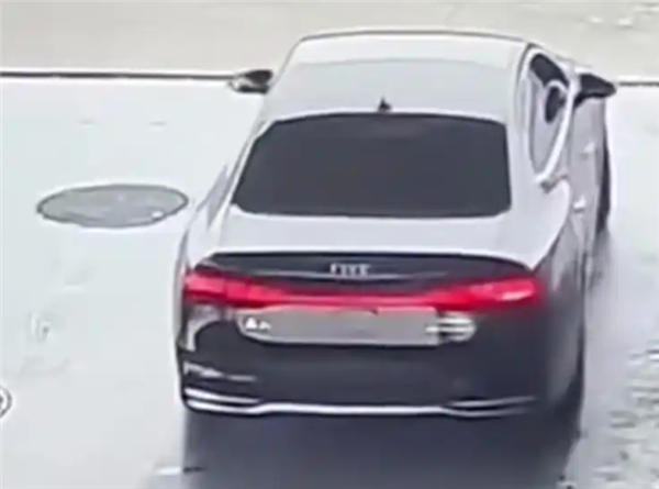 开奥迪却加霸王油！车主加完632元油逃单：员工4天工资打水漂