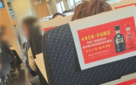 高铁上孩童吵闹 大学生制止遭网暴！12306：可求助乘务员但仅能劝阻