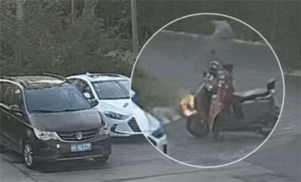 一男子手欠点燃柳絮：火势迅间失控引燃路边轿车 已被依法处理