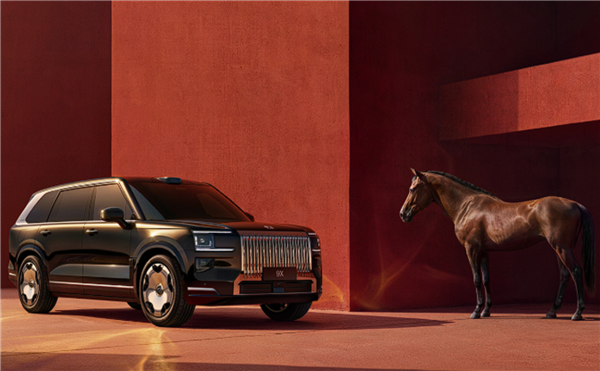 迈莎锐改装极氪9X卖到270万 车价翻4倍多！极氪回应：系自行购买 非官方合作