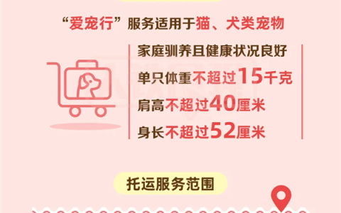 高铁宠物托运“爱宠行”服务今日正式推出 宠物箱科技量拉满