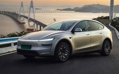 特斯拉 在中国沦为“明星背景板”