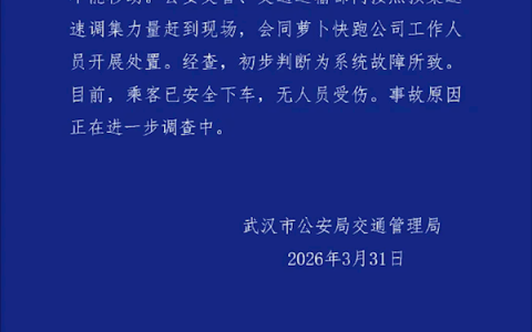 多辆萝卜快跑行驶中突然停车 武汉交警通报：系统故障所致