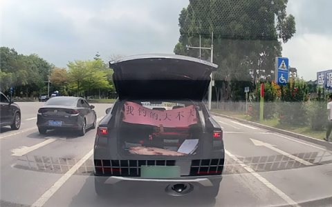 红绿灯前炫鱼翻车 钓鱼佬刚打开后备箱 下一秒被交警关上