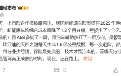 比亚迪何志奇：辅助驾驶让新能源车险少亏了1个亿