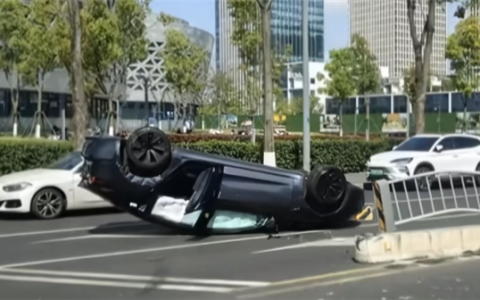 男子试乘特斯拉 却被女销售开翻车受伤！索赔8千元精神抚慰费被拒