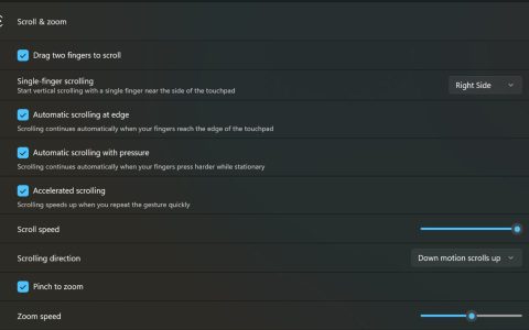 触控板教育功能升级! 微软向Win11 Insider推送多版本预览更新